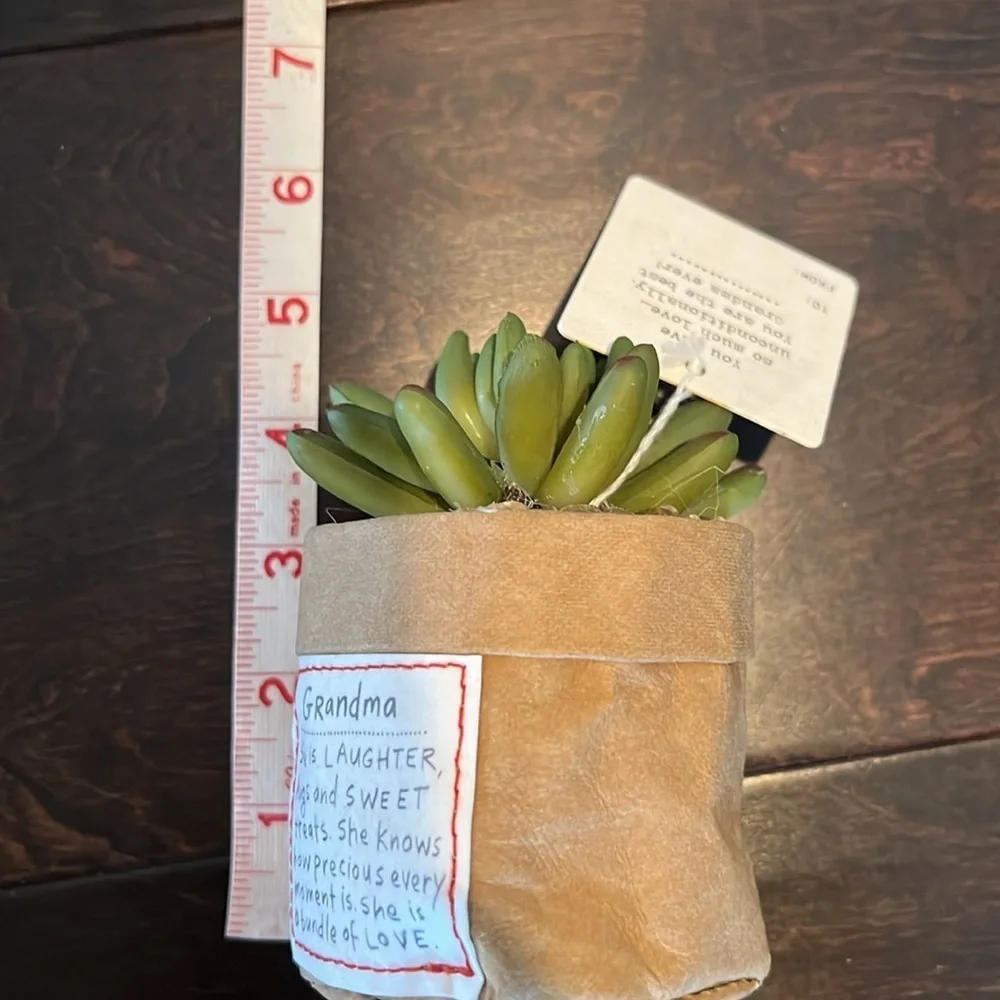 Grandma faux succulent plant